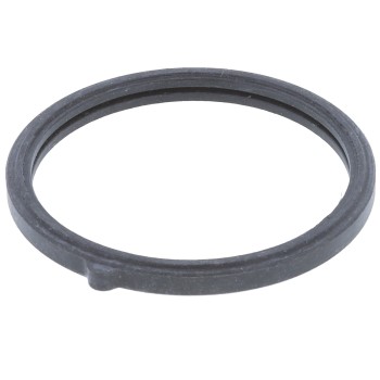 Engine Coolant Thermostat Seal