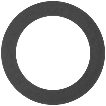 Engine Coolant Thermostat Seal