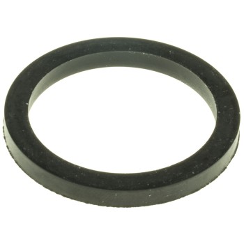 Engine Coolant Thermostat Seal