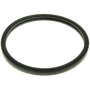 Engine Coolant Thermostat Seal