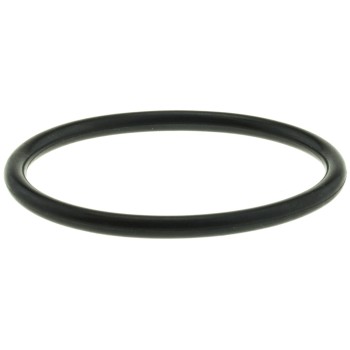 Engine Coolant Thermostat Seal