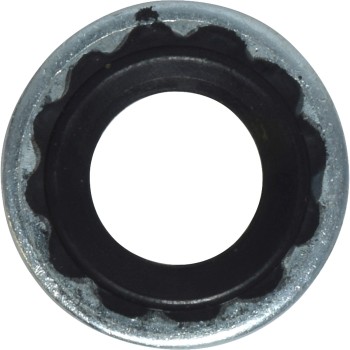 Seal Ring / Washer