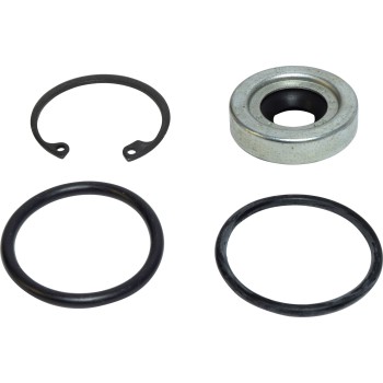 A/C Compressor Shaft Seal Kit
