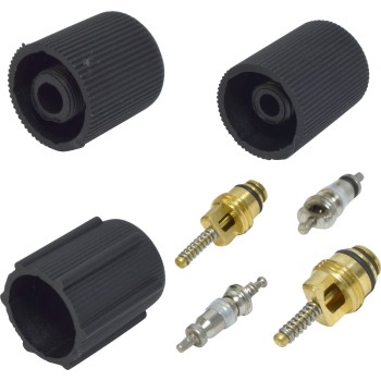 A/C System Valve Core and Cap Kit
