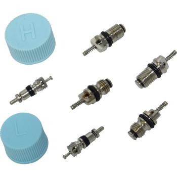 A/C System Valve Core and Cap Kit