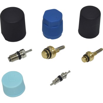A/C System Valve Core and Cap Kit