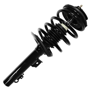 Suspension Strut and Coil Spring Assembly