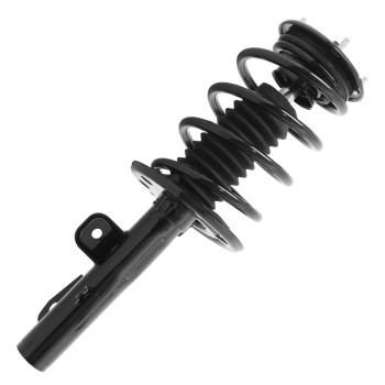 Suspension Strut and Coil Spring Assembly