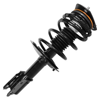 Suspension Strut and Coil Spring Assembly