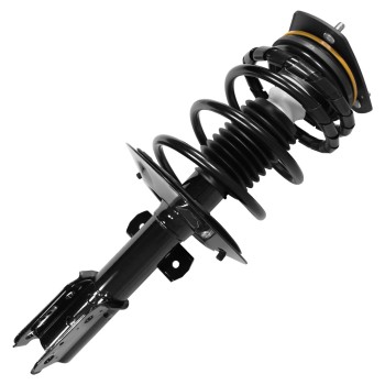Suspension Strut and Coil Spring Assembly