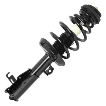 Suspension Strut and Coil Spring Assembly