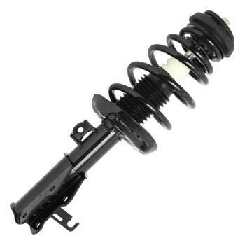 Suspension Strut and Coil Spring Assembly