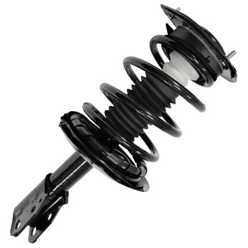 Suspension Strut and Coil Spring Assembly