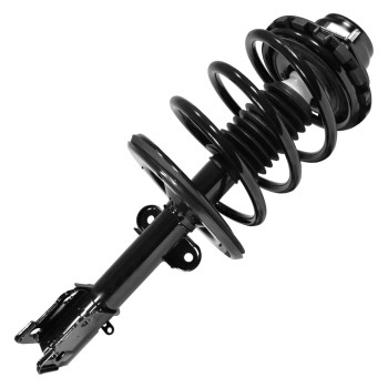 Suspension Strut and Coil Spring Assembly