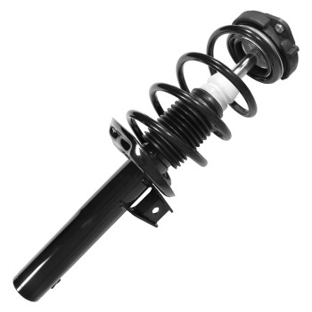 Suspension Strut and Coil Spring Assembly
