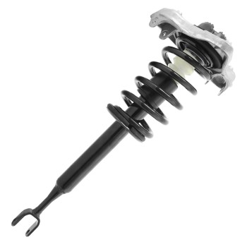 Suspension Strut and Coil Spring Assembly