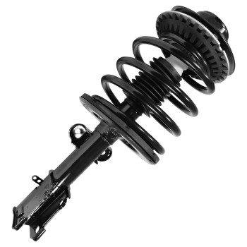 Suspension Strut and Coil Spring Assembly