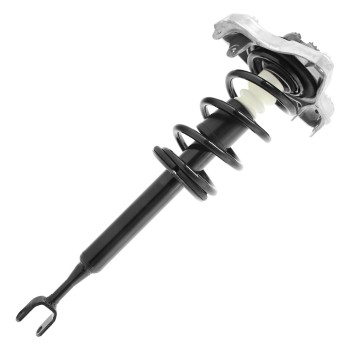 Suspension Strut and Coil Spring Assembly