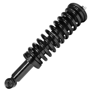 Suspension Strut and Coil Spring Assembly