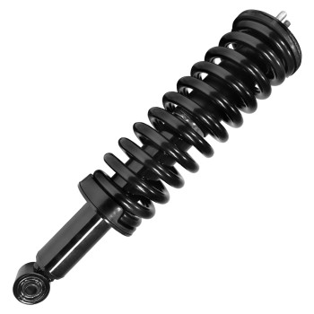 Suspension Strut and Coil Spring Assembly