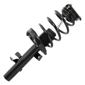 Suspension Strut and Coil Spring Assembly