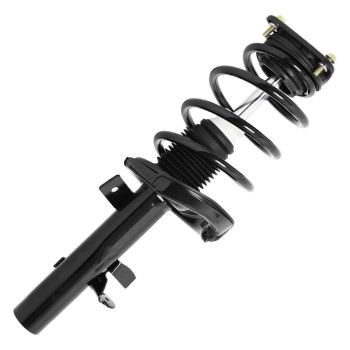 Suspension Strut and Coil Spring Assembly