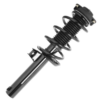 Suspension Strut and Coil Spring Assembly