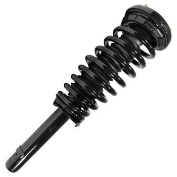 Suspension Strut and Coil Spring Assembly