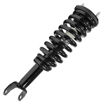 Suspension Strut and Coil Spring Assembly