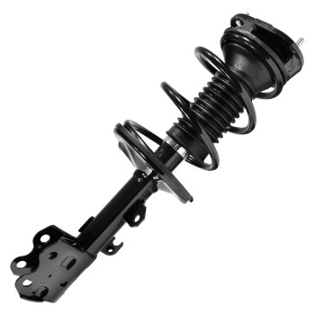 Suspension Strut and Coil Spring Assembly