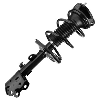 Suspension Strut and Coil Spring Assembly