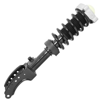 Suspension Strut and Coil Spring Assembly