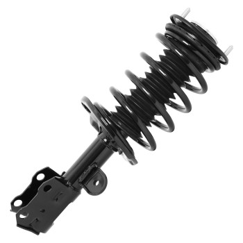 Suspension Strut and Coil Spring Assembly