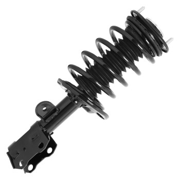 Suspension Strut and Coil Spring Assembly