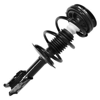 Suspension Strut and Coil Spring Assembly