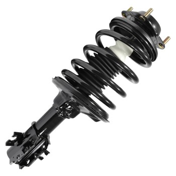 Suspension Strut and Coil Spring Assembly