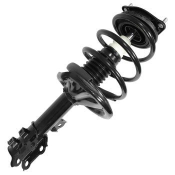 Suspension Strut and Coil Spring Assembly