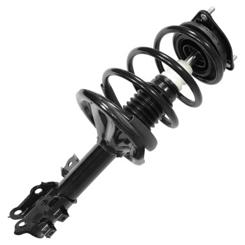 Suspension Strut and Coil Spring Assembly