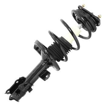 Suspension Strut and Coil Spring Assembly