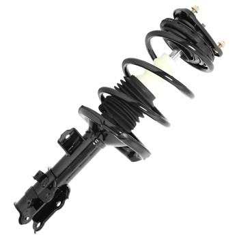 Suspension Strut and Coil Spring Assembly