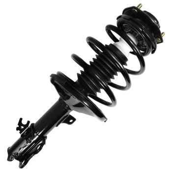 Suspension Strut and Coil Spring Assembly