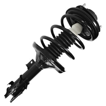 Suspension Strut and Coil Spring Assembly