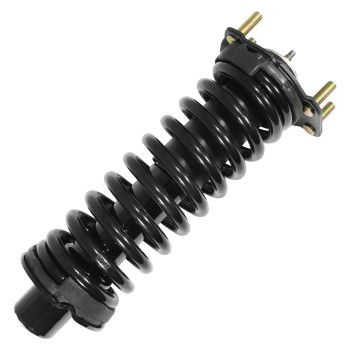 Suspension Strut and Coil Spring Assembly