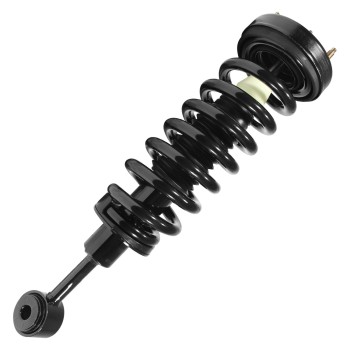 Suspension Strut and Coil Spring Assembly