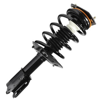 Suspension Strut and Coil Spring Assembly