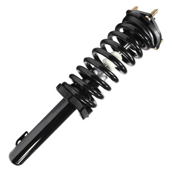 Suspension Strut and Coil Spring Assembly