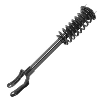 Suspension Strut and Coil Spring Assembly