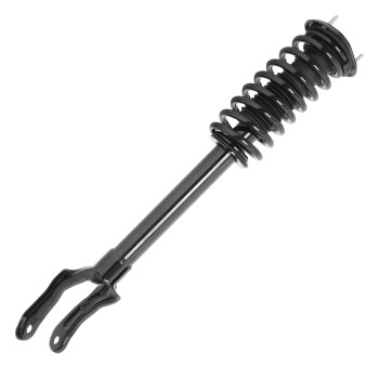 Suspension Strut and Coil Spring Assembly