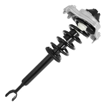 Suspension Strut and Coil Spring Assembly