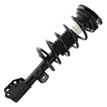 Suspension Strut and Coil Spring Assembly
